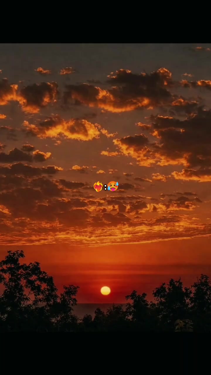 @503🇸🇻