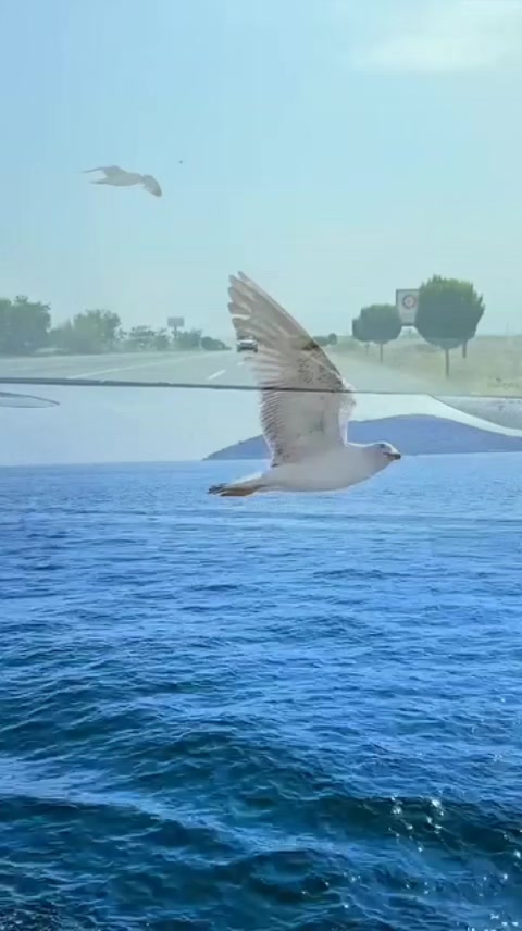 @EFE ÇAĞLA 76
