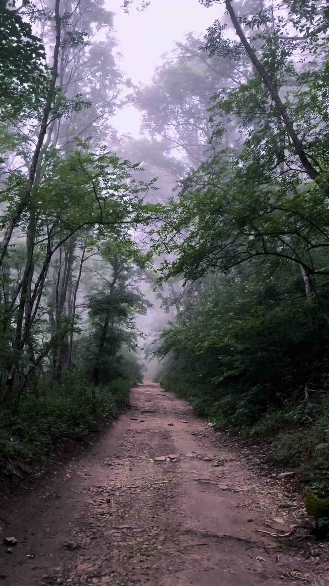 @кира