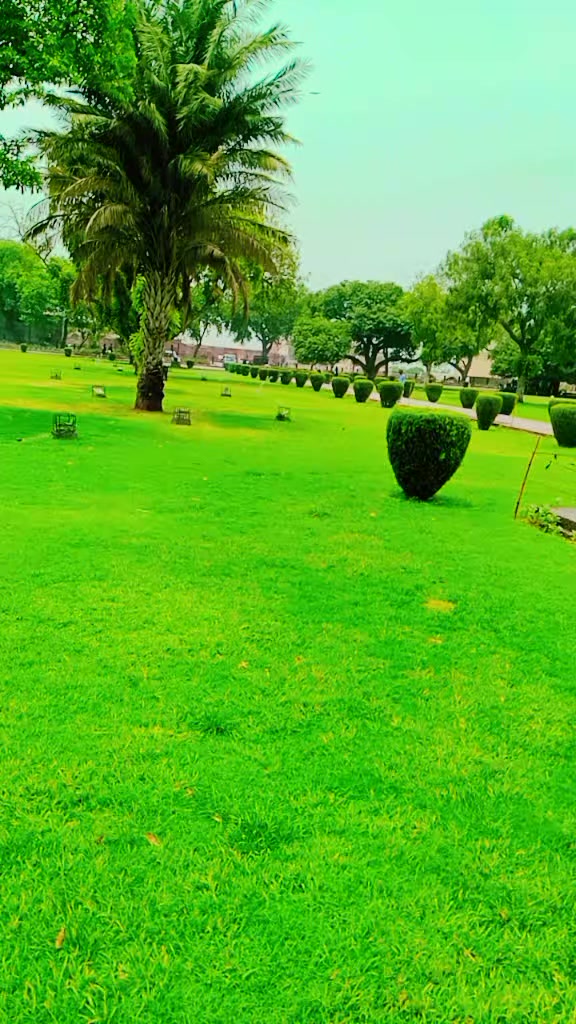 @بادشاہ لوگ
