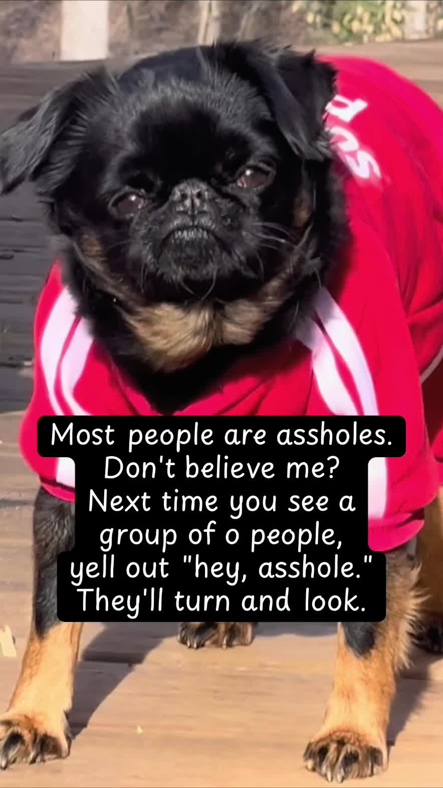 @Chicoandhisbanditos