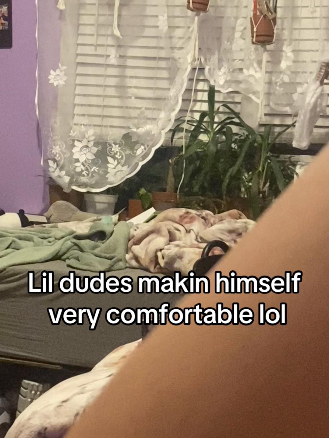 @Kiwi and Gizmo