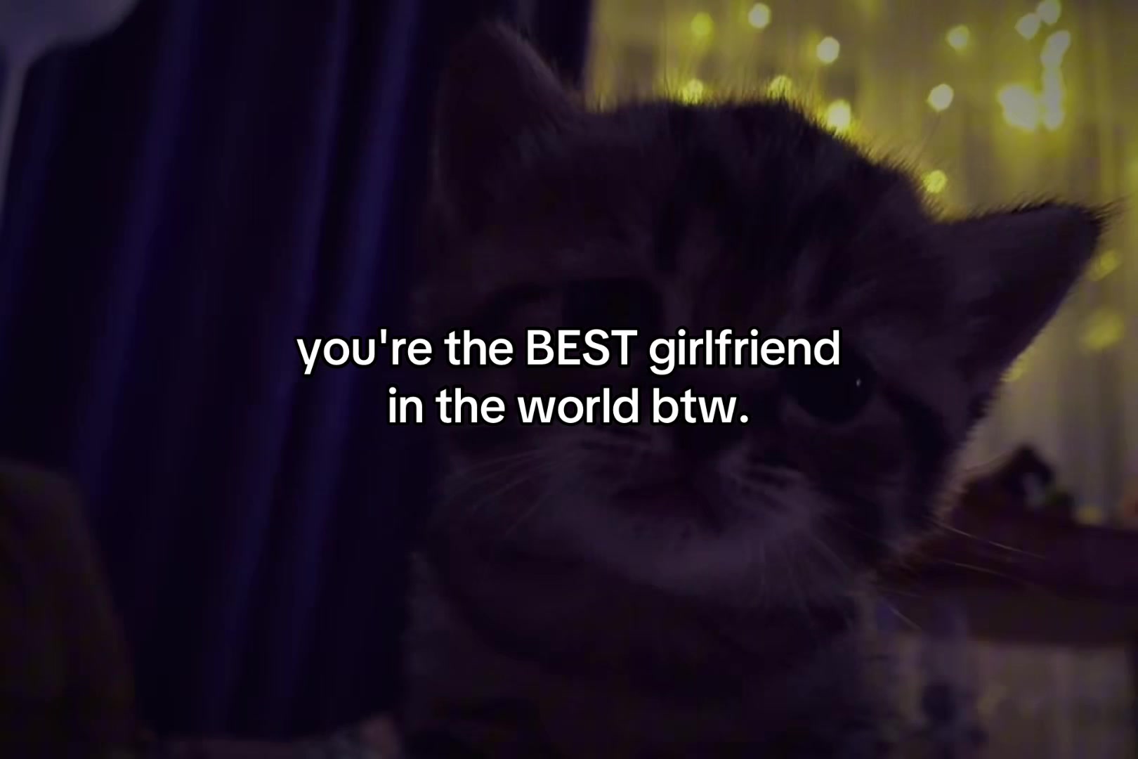 @sxalenz