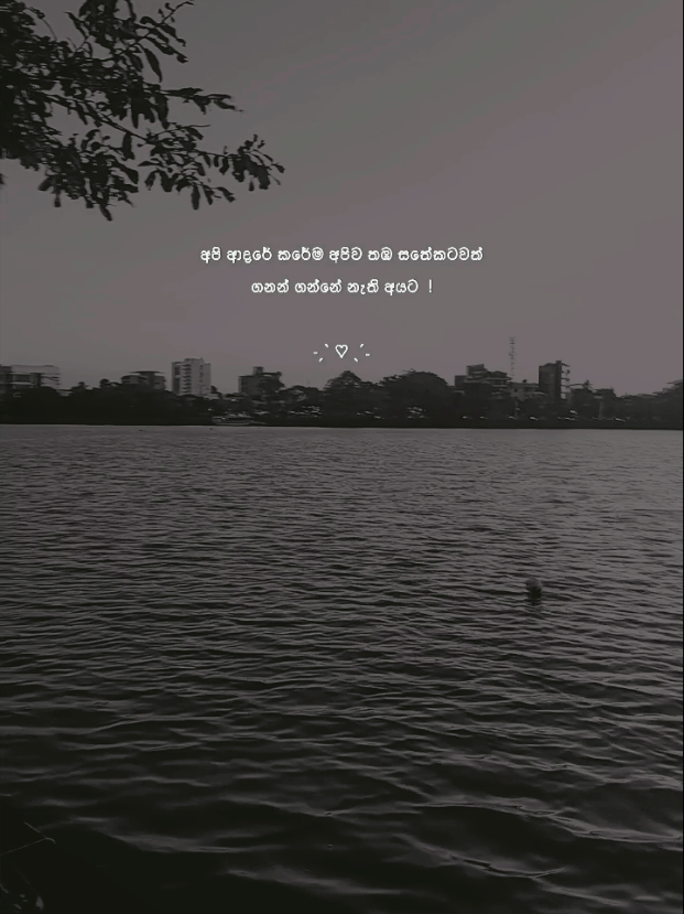 @𝑺𝒉𝒂𝒏𝒊 𝒃𝒆𝒂𝒓 💭