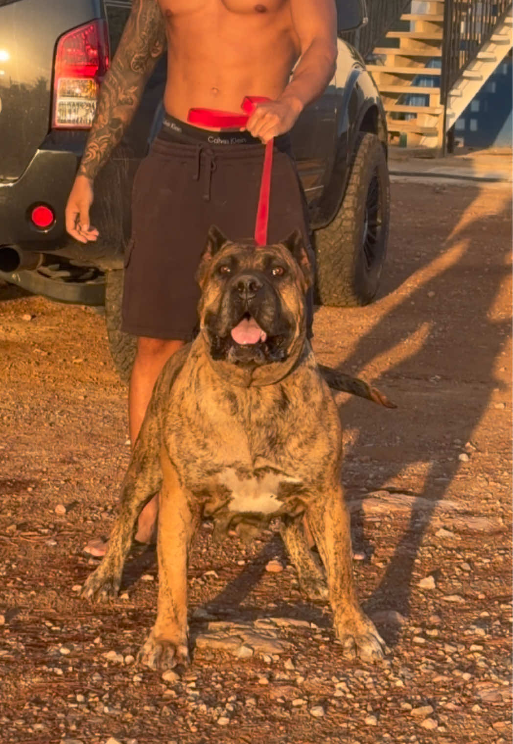 @Alberto Presa Canario Sanz