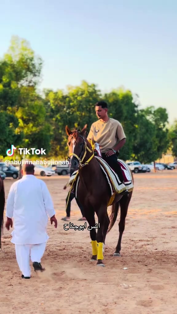@محمد نافع❤️🔥🐴