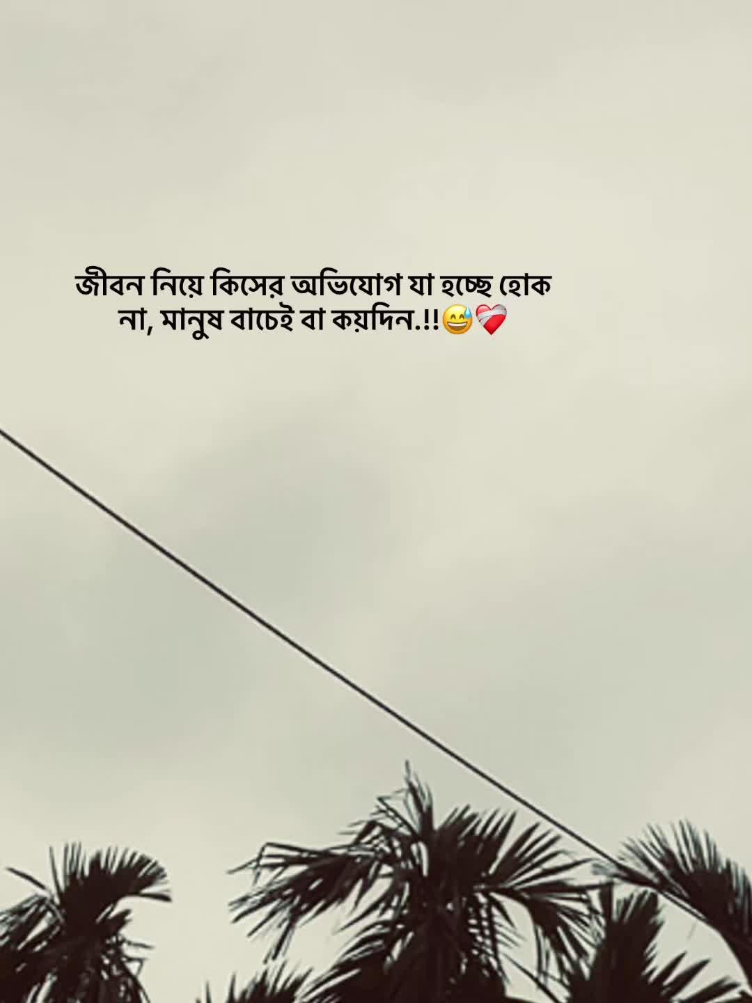 @S_A_Y_M_O_NđĨ°SAMMIHAđĨ°