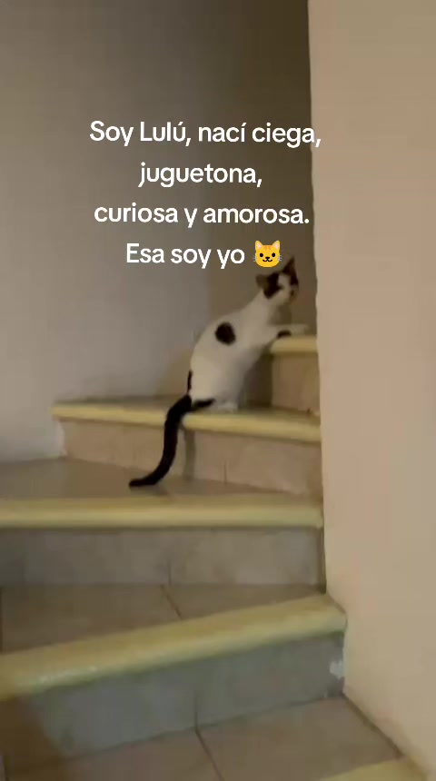 @Violeta Porras - Vio
