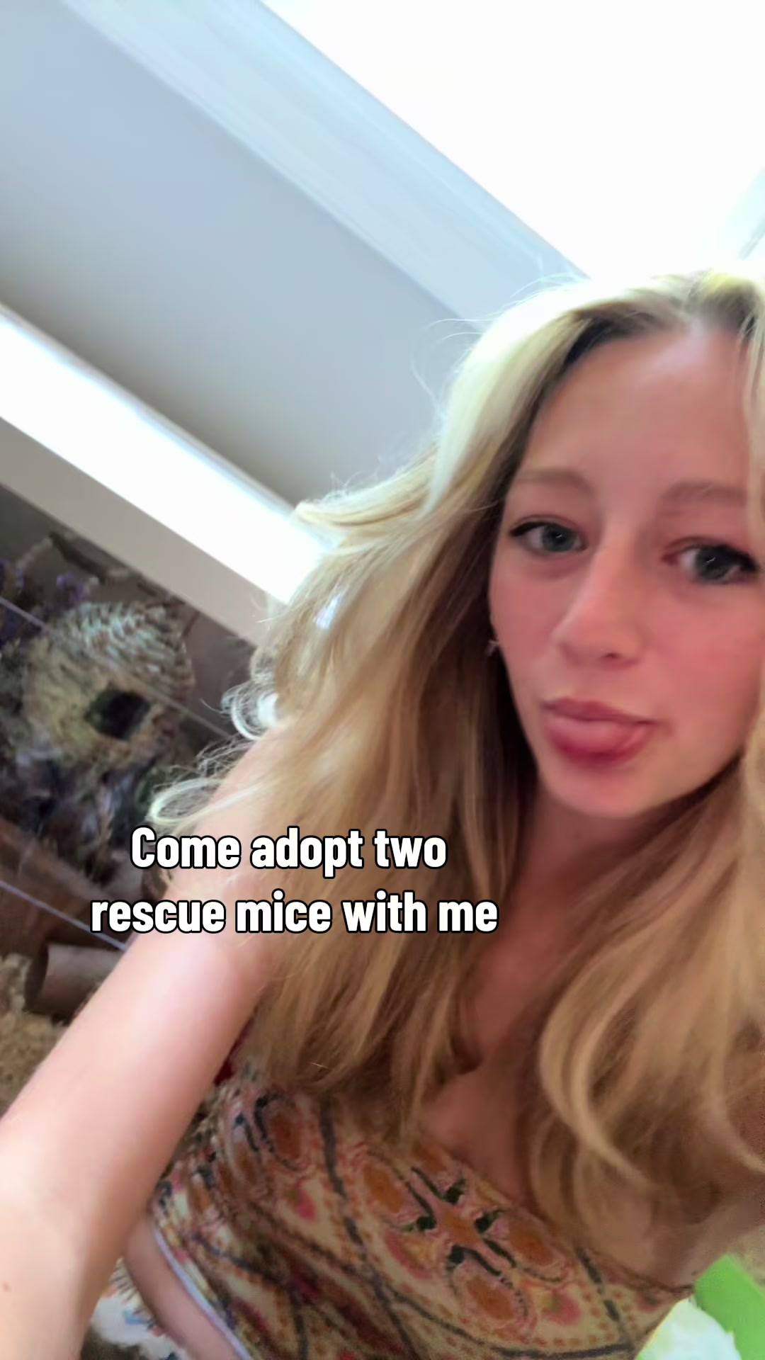 @thatweirdanimalgirl