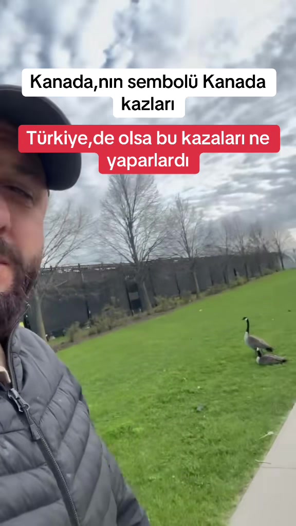 @KAPADOKYALI 🇹🇷CANADIAN🇨🇦