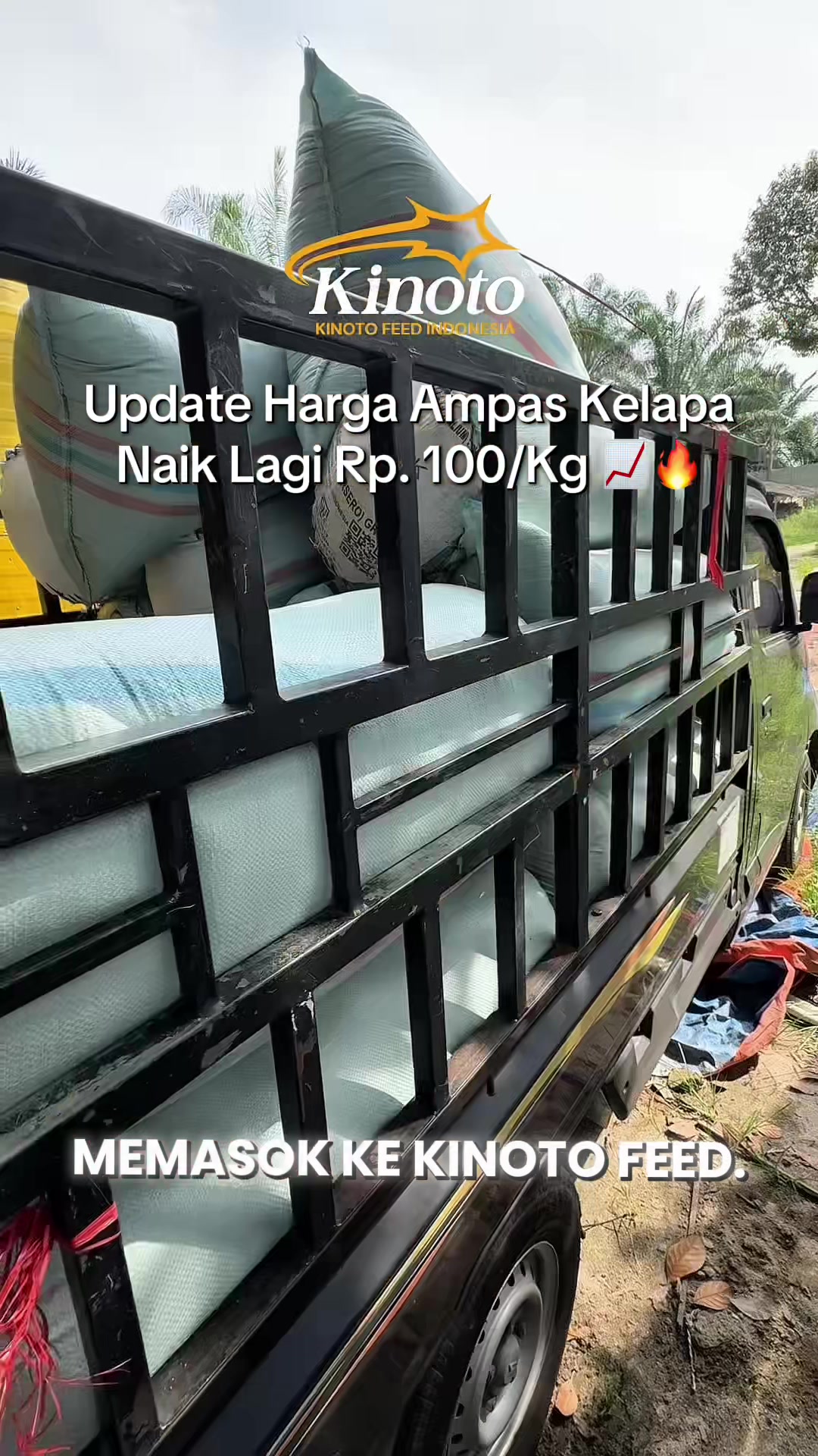@CV. KINOTO FEED INDONESIA