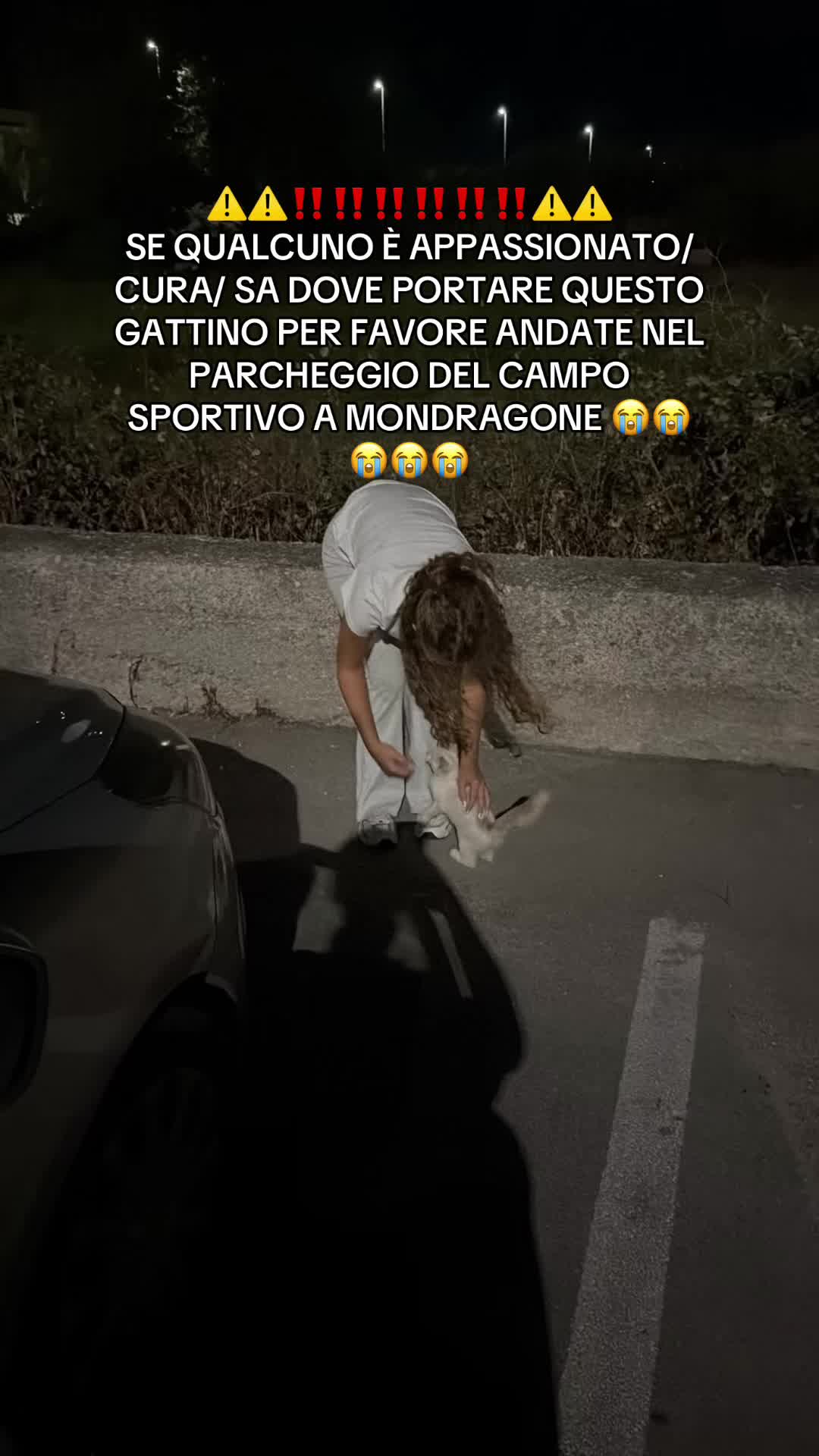 @broski