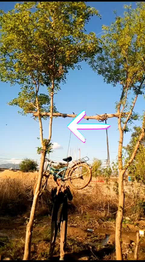 @user6109573221600