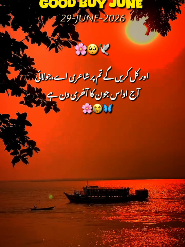 @Arooj 🦋🌼