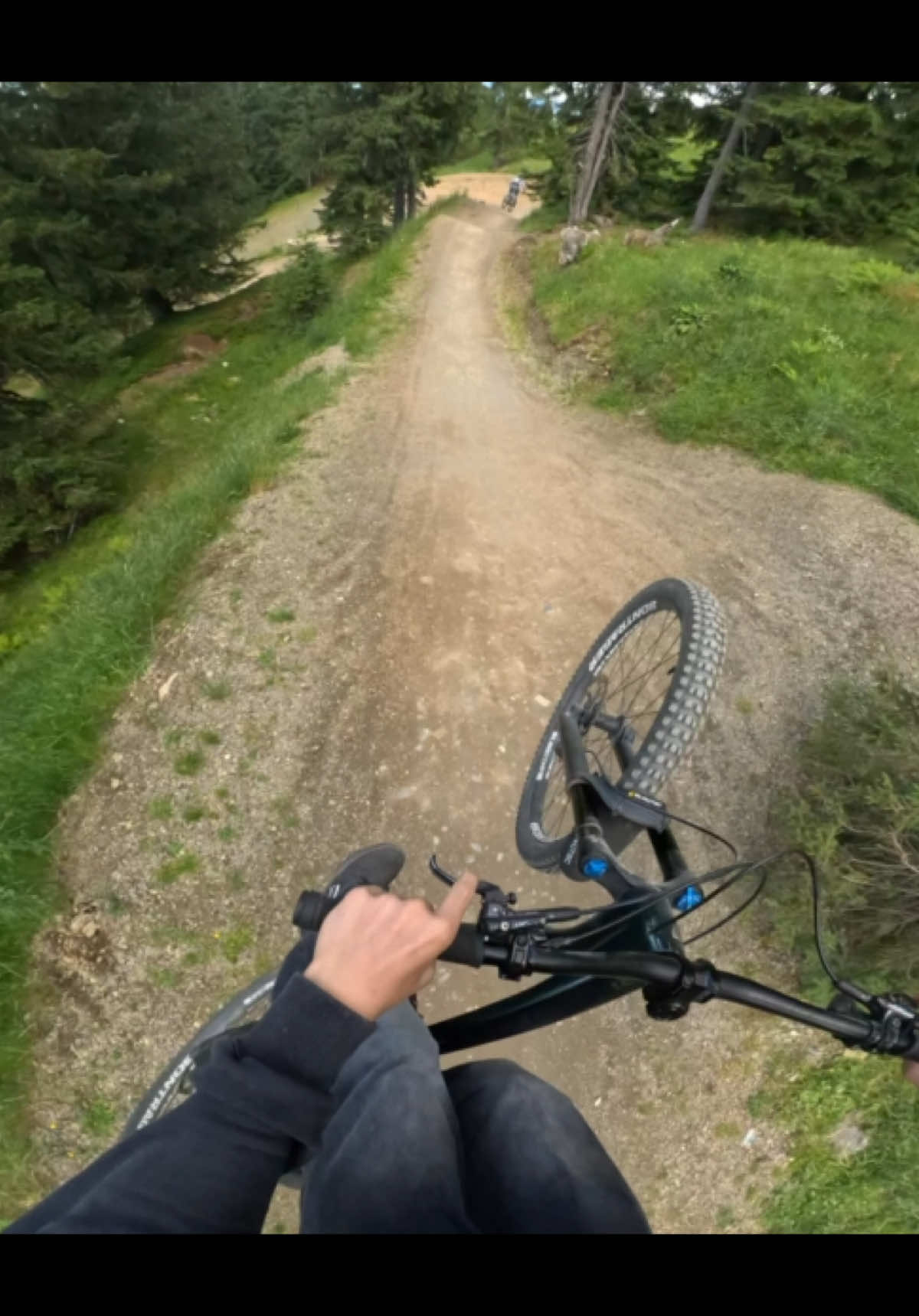 @🌲Freeride_Paul🌲