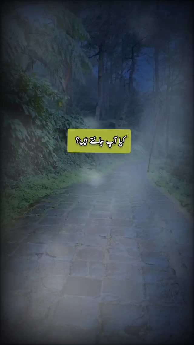 @Najaf Hamza