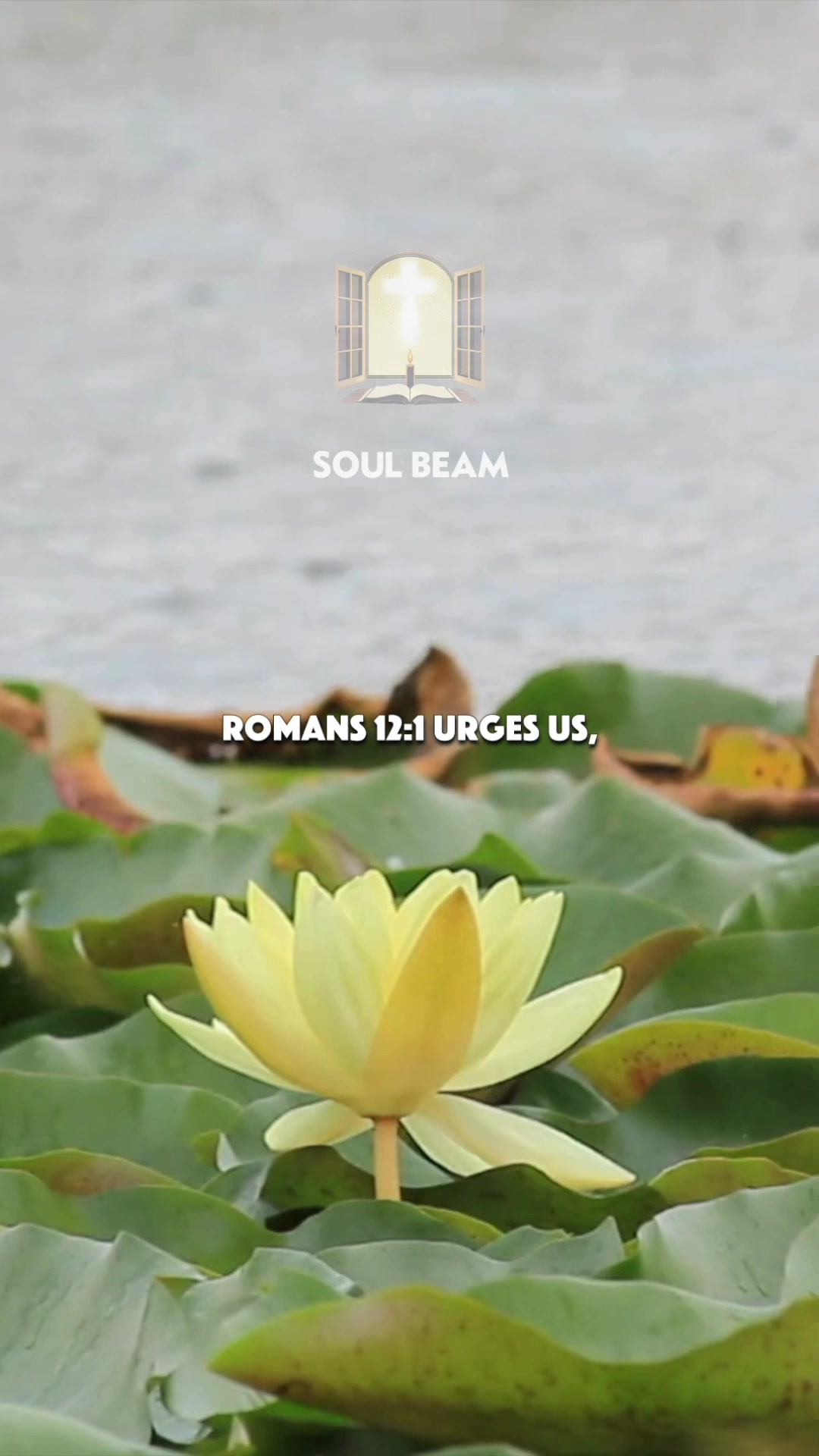 @Soul Beam