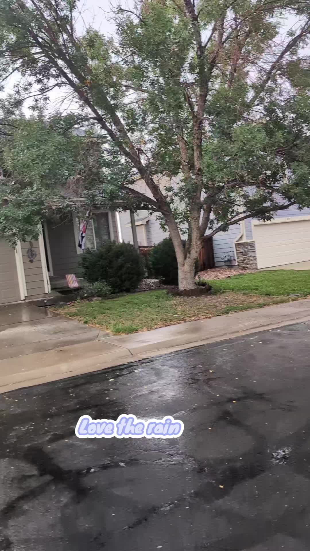 @BlueEyeBulldozer