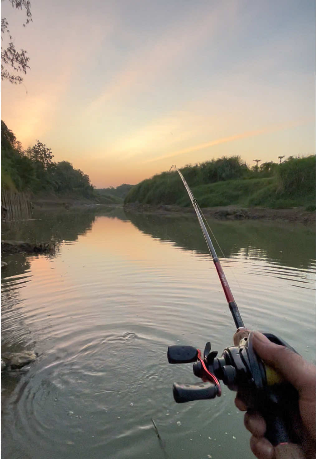 @MAFIA FISHING