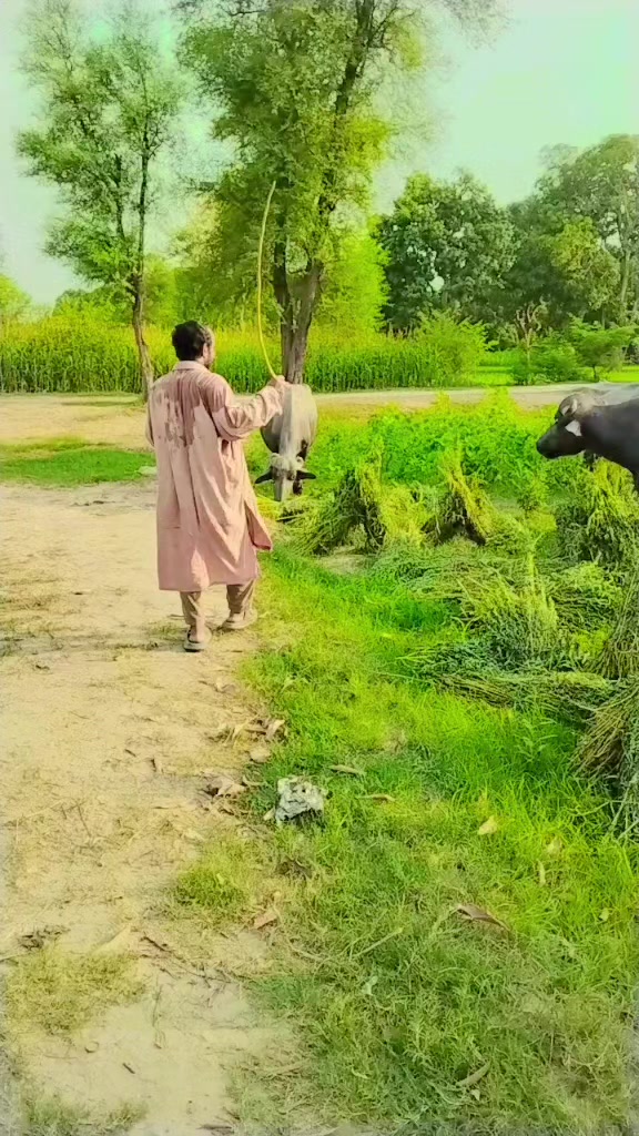 @من جانباز 💪🇵🇰