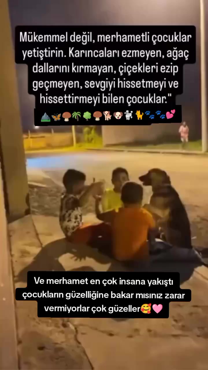 @🇹🇷ʜᴀʀʙɪ̇ ᴛᴜ̈ʀᴋ ᴋɪᴢɪ🇹🇷Ⓜ️🧿