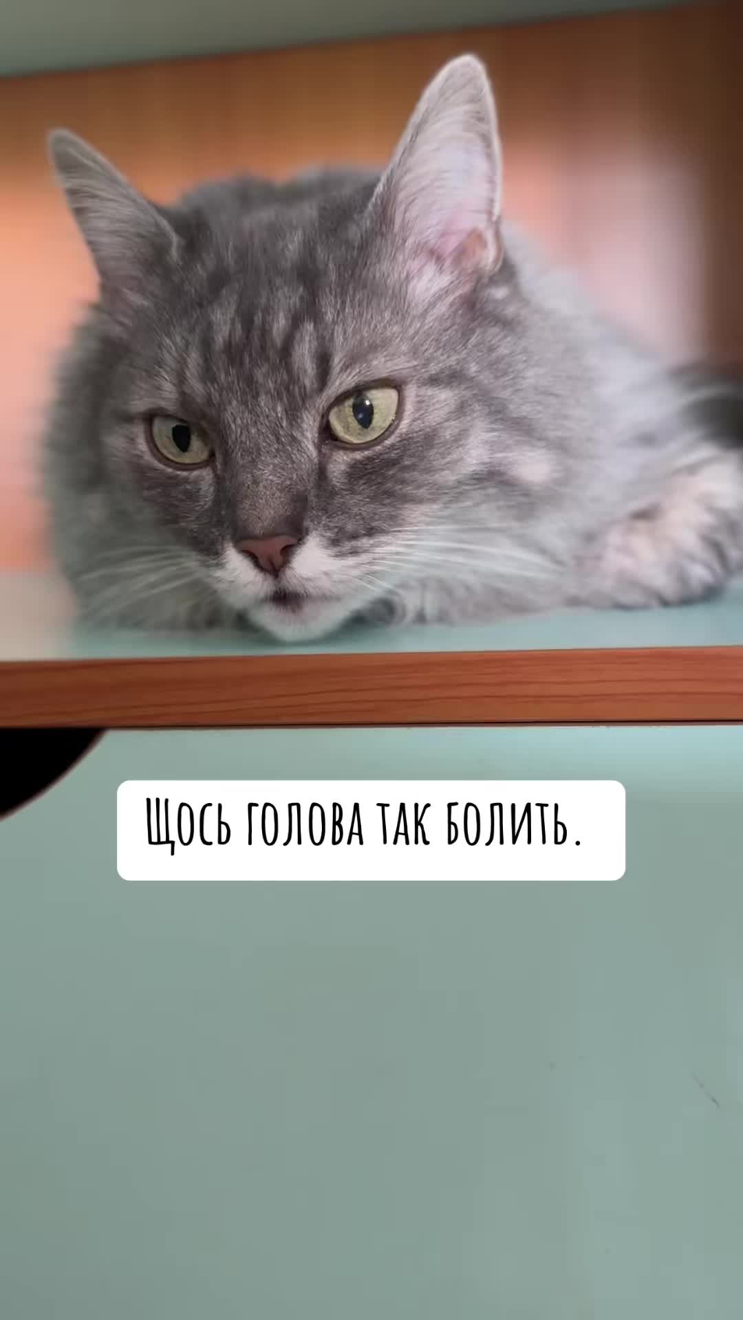 @timka.kit