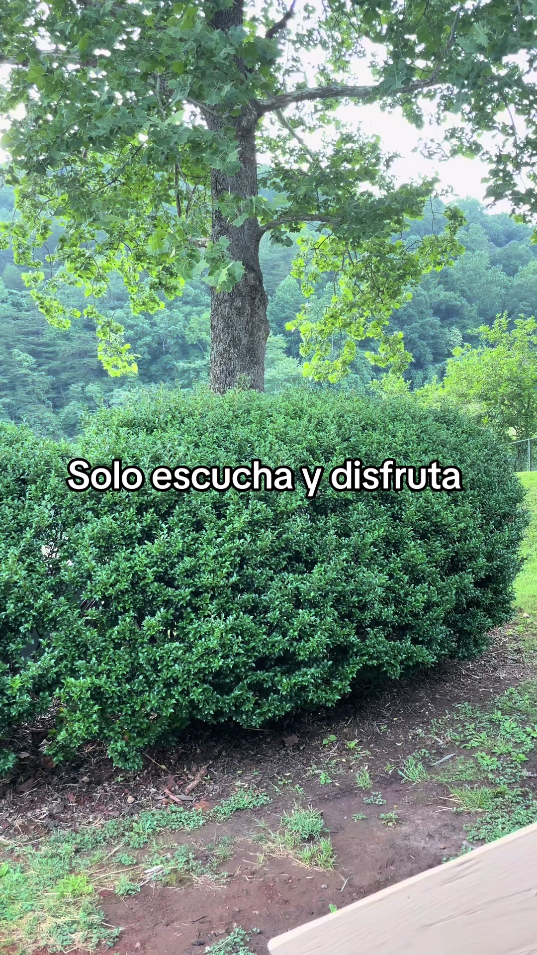 @Veronica&Familia