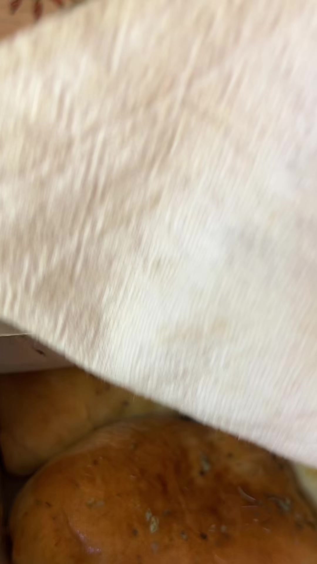 @Larissa Canuto