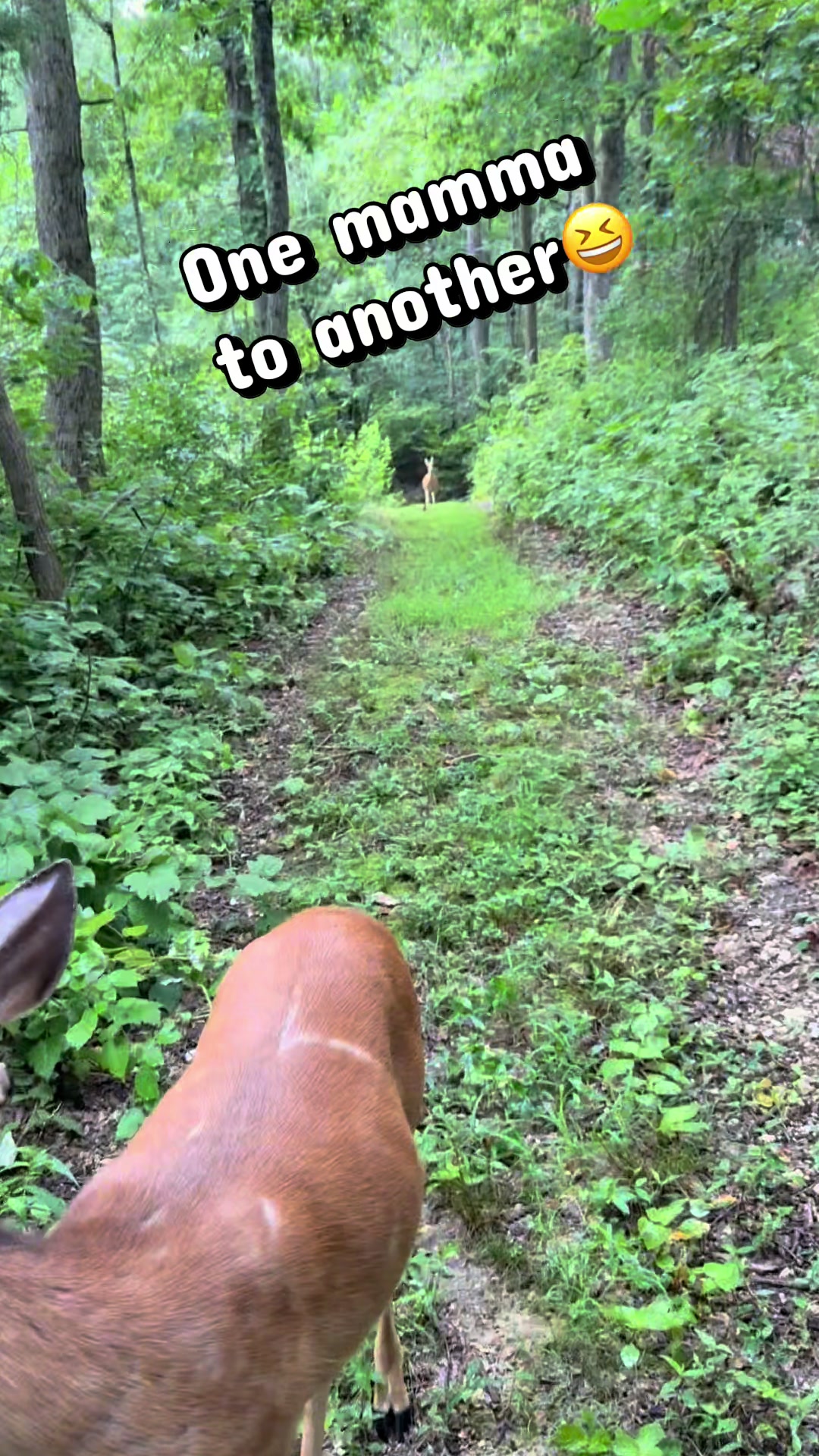 @Brownhikingtrails