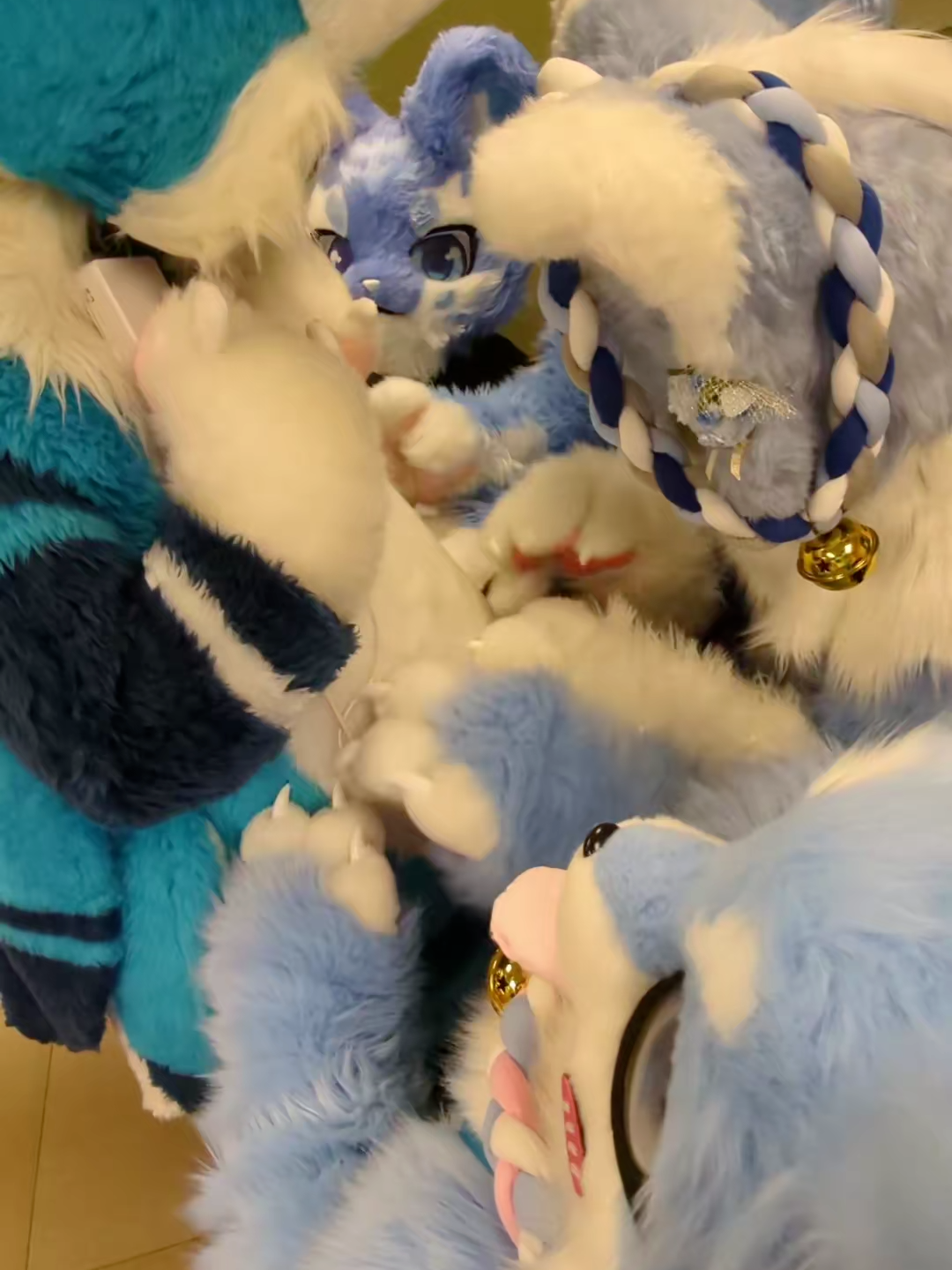 @radywolf