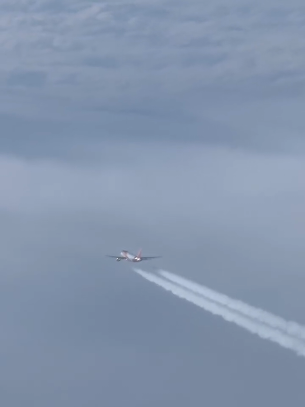 @𝑂𝑣𝑖 🦅