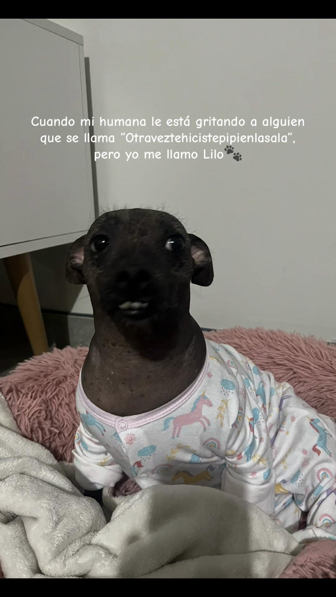@Lilo