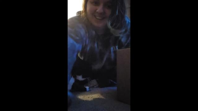 @YOUR FAV CAT MOM🩷