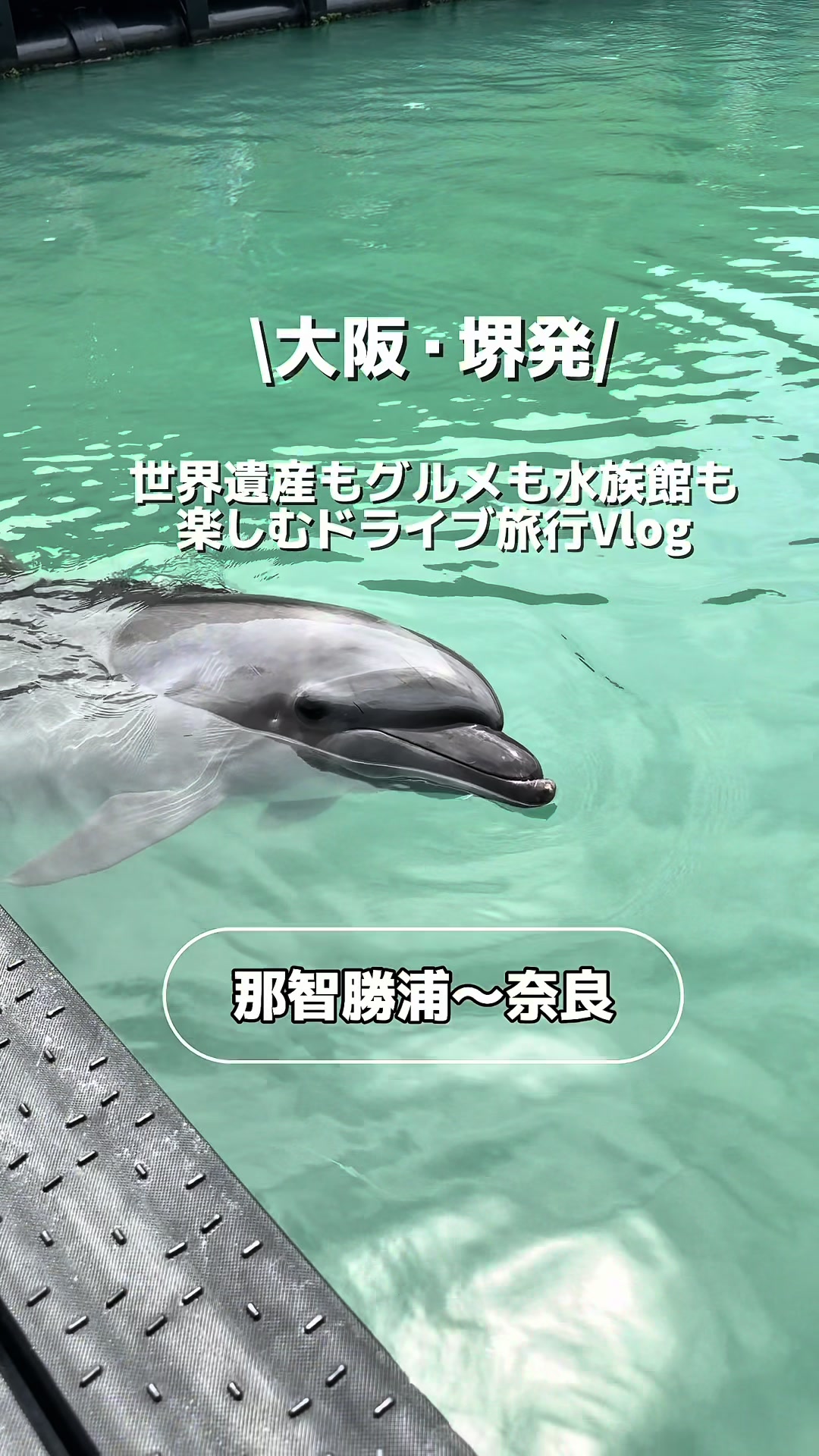 @フードマム【大阪堺市グルメママ】