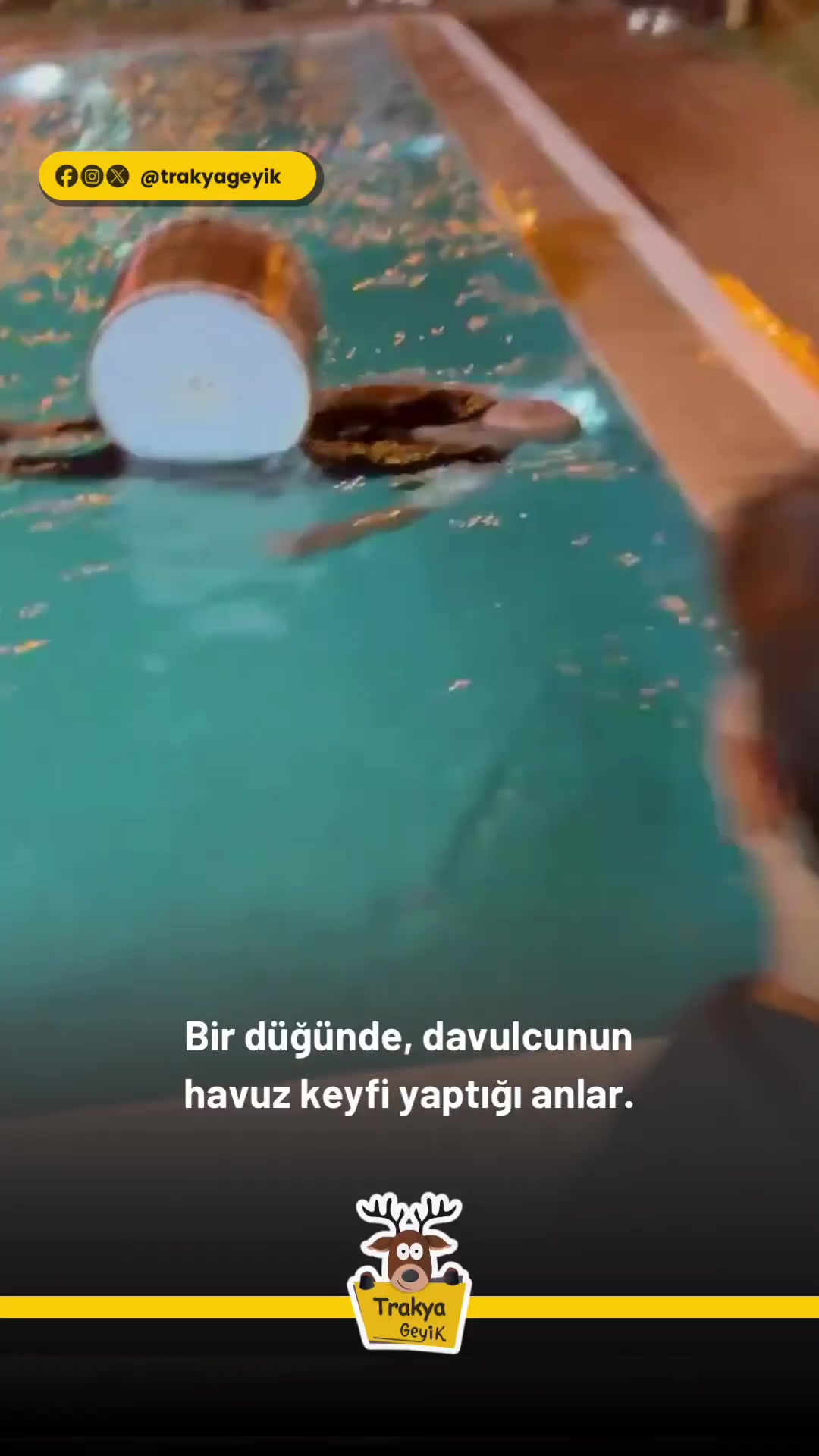 @Muğla Geyik