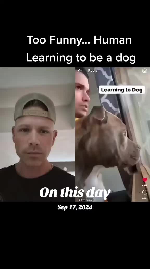 @Shredmaster3000