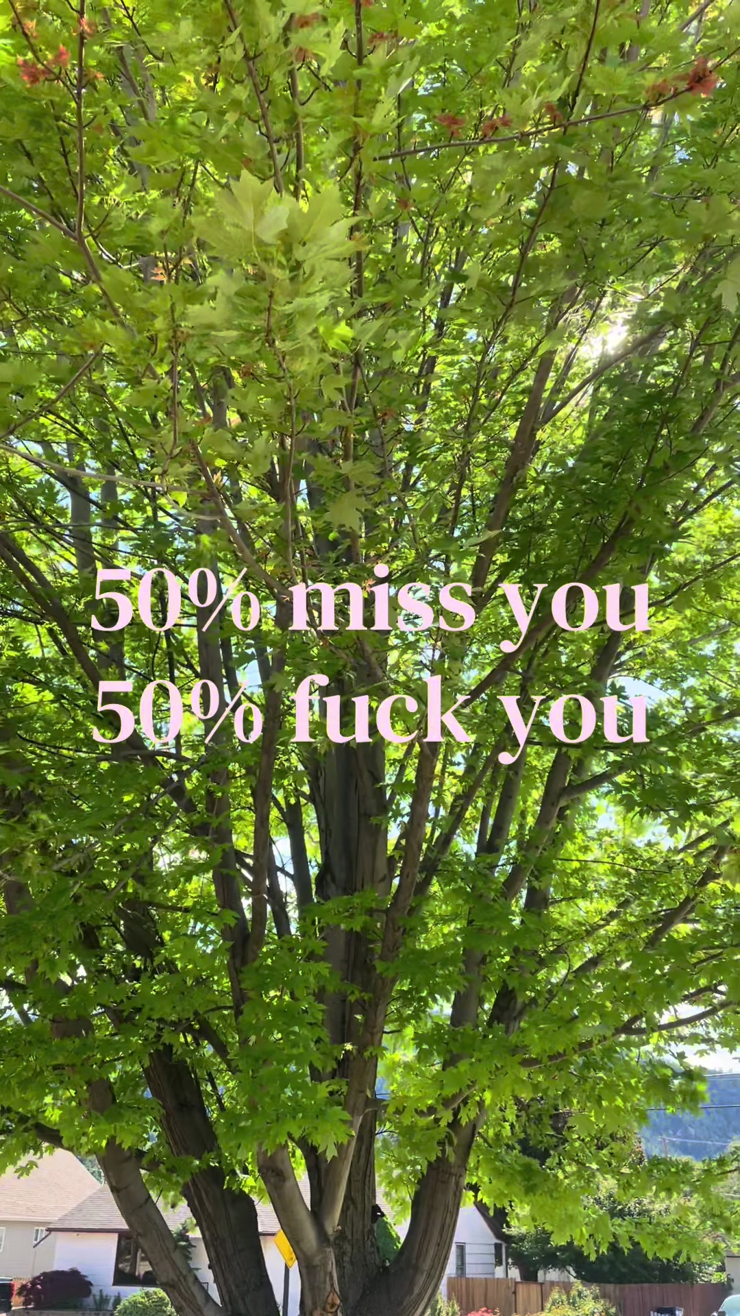 @x.https.