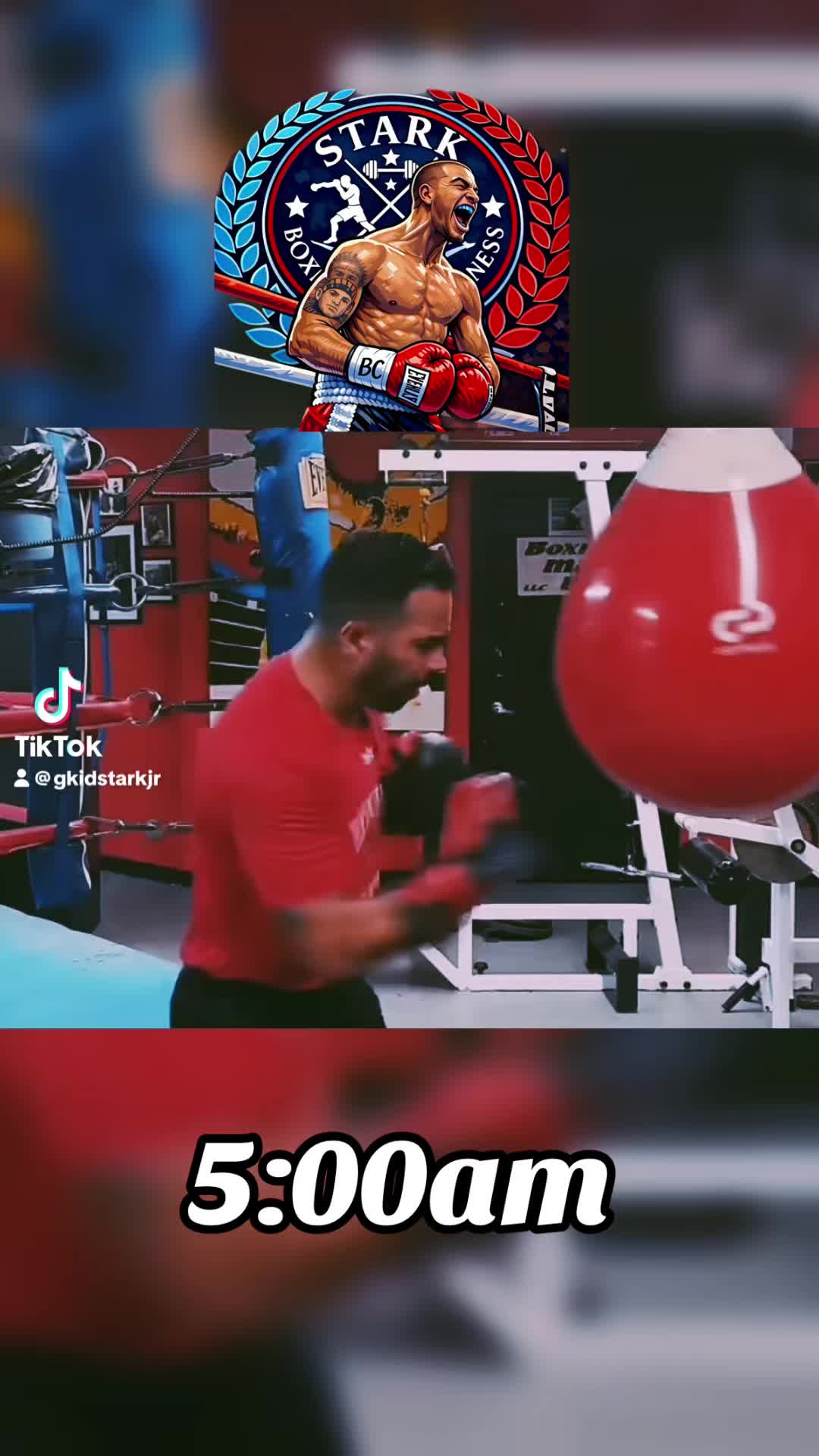 @Kidstarkjr