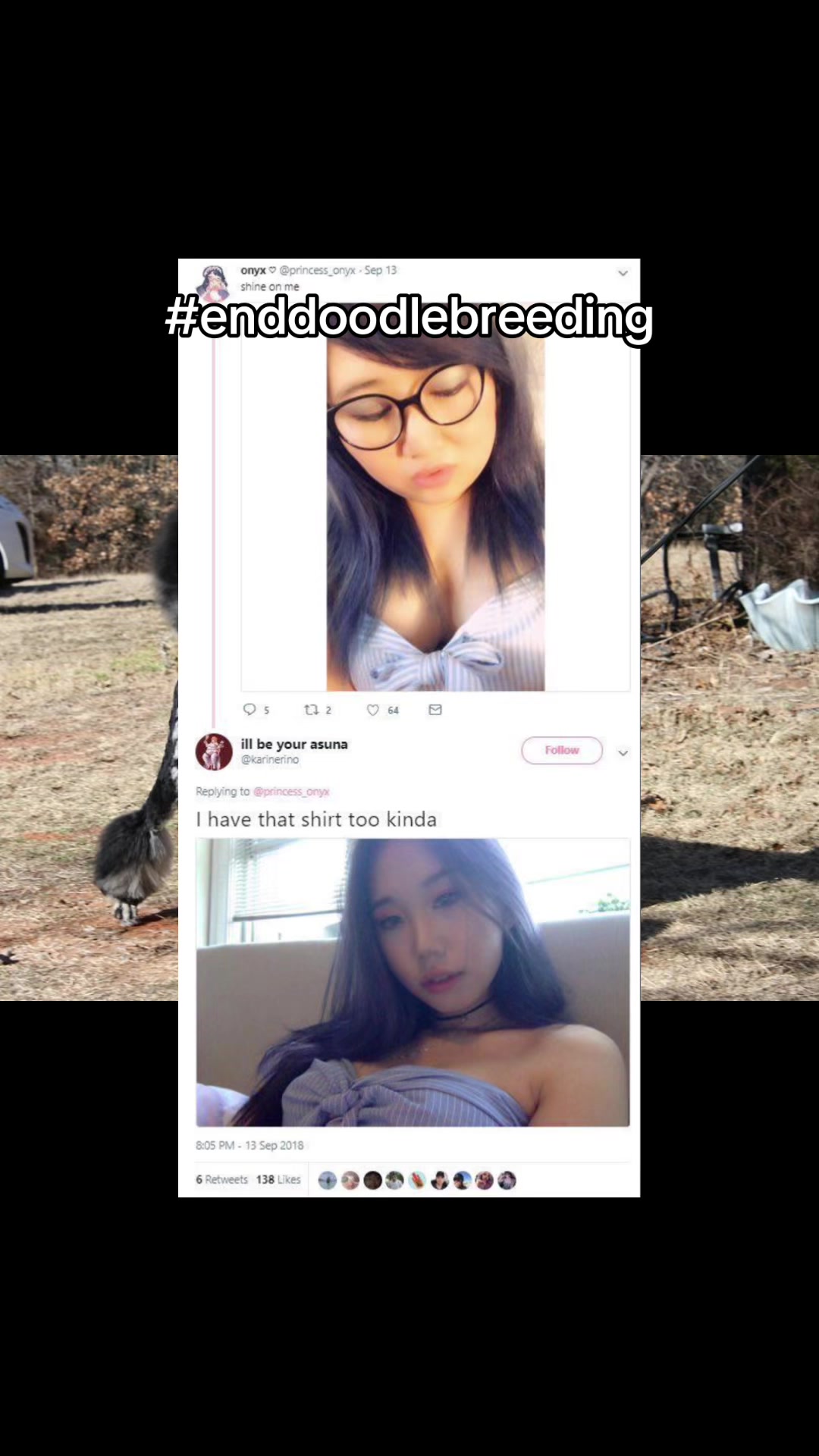 @Emmabelle + Poods 🐩🤍