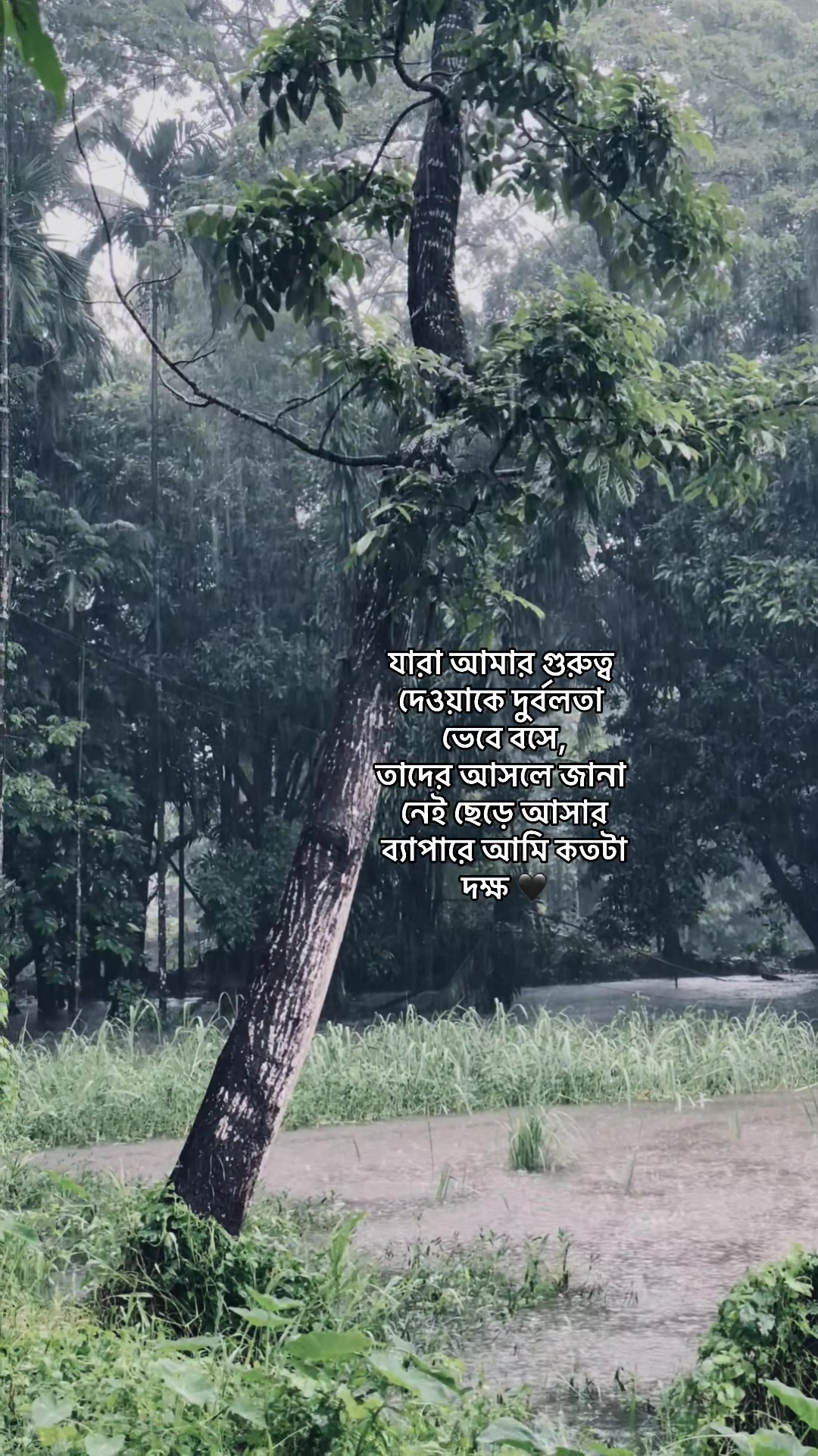 @_নিখোঁজ_