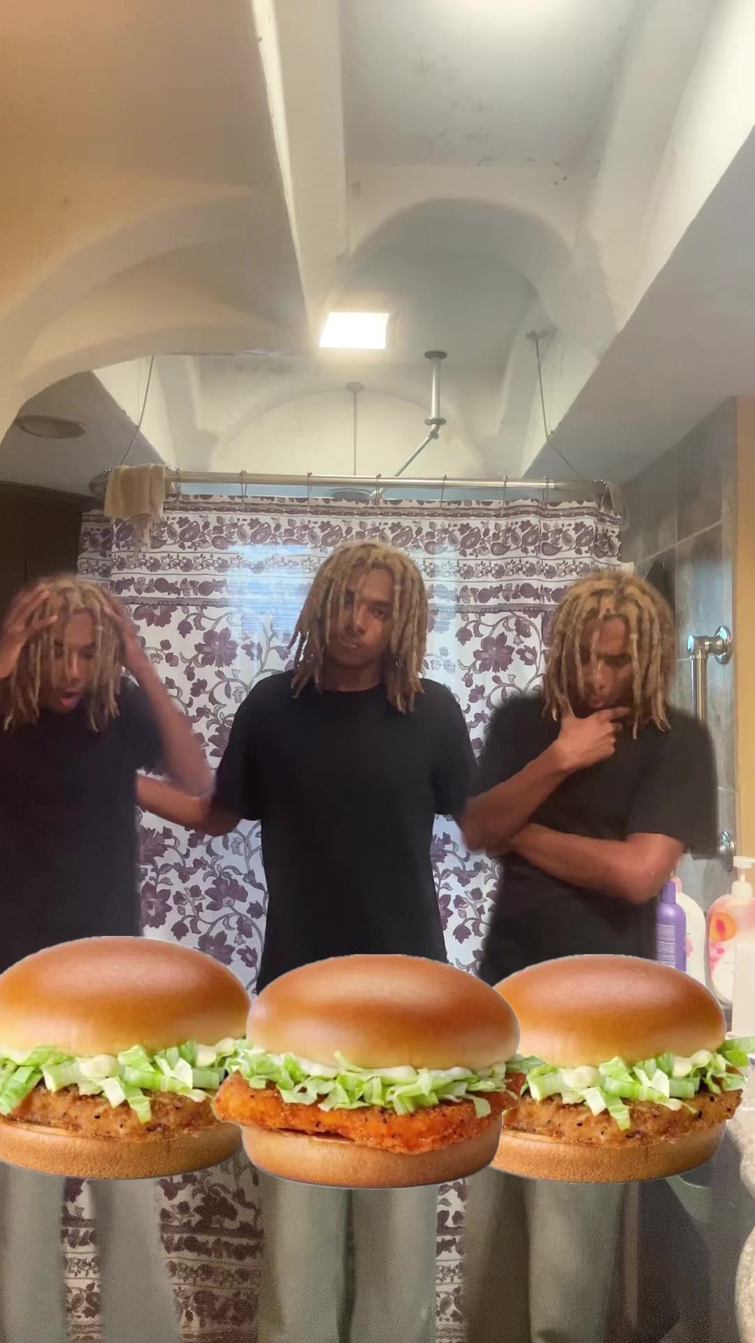 @ohbabyilovemcchickens