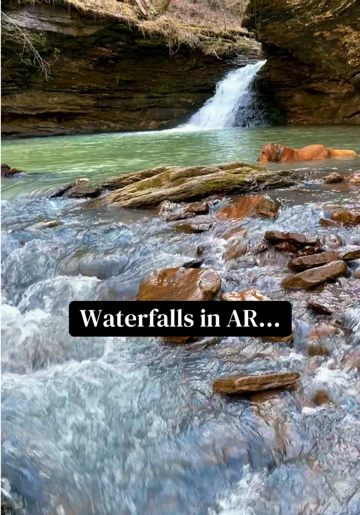 @Waterfalls in AR & Beyond!