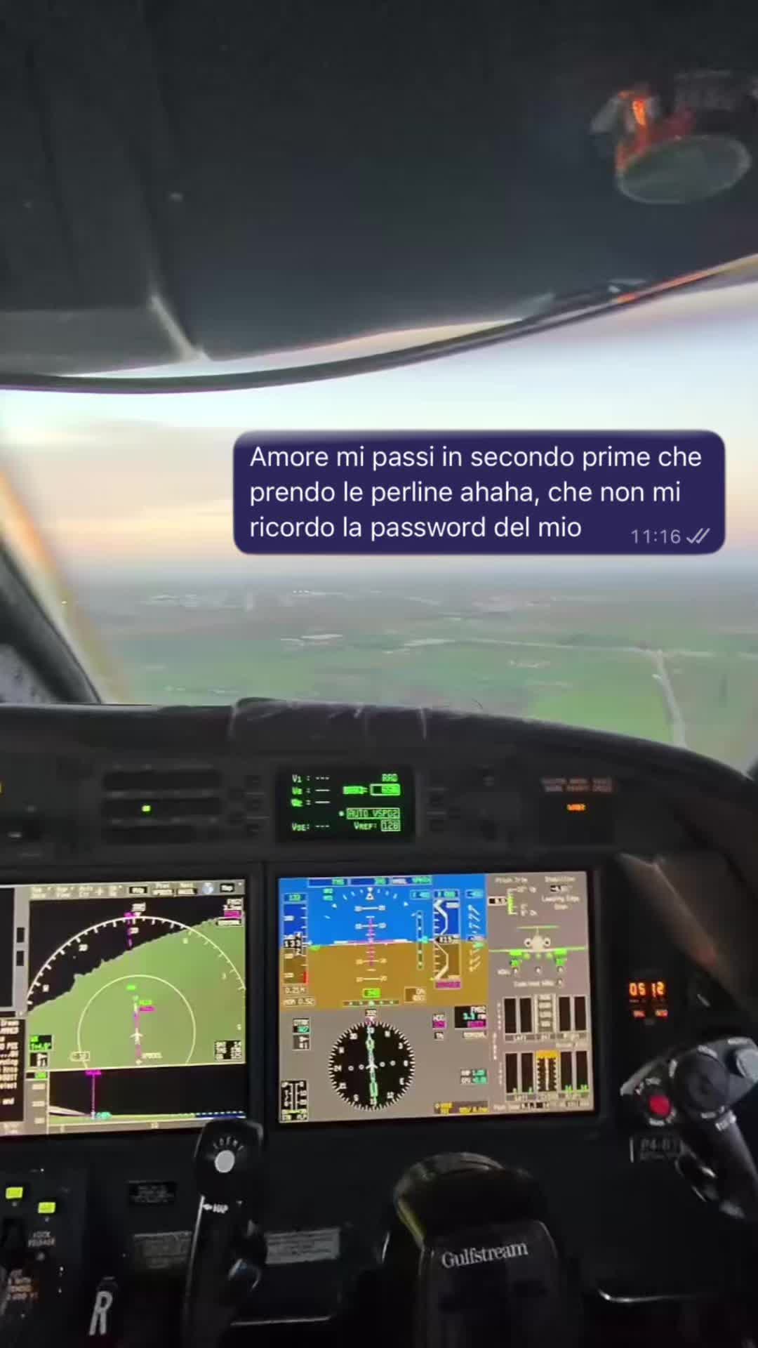 @Giulia roncari