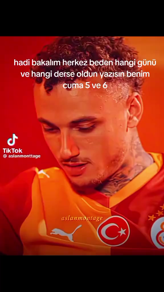 @elin yksel