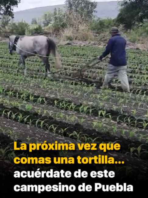 @Badabun
