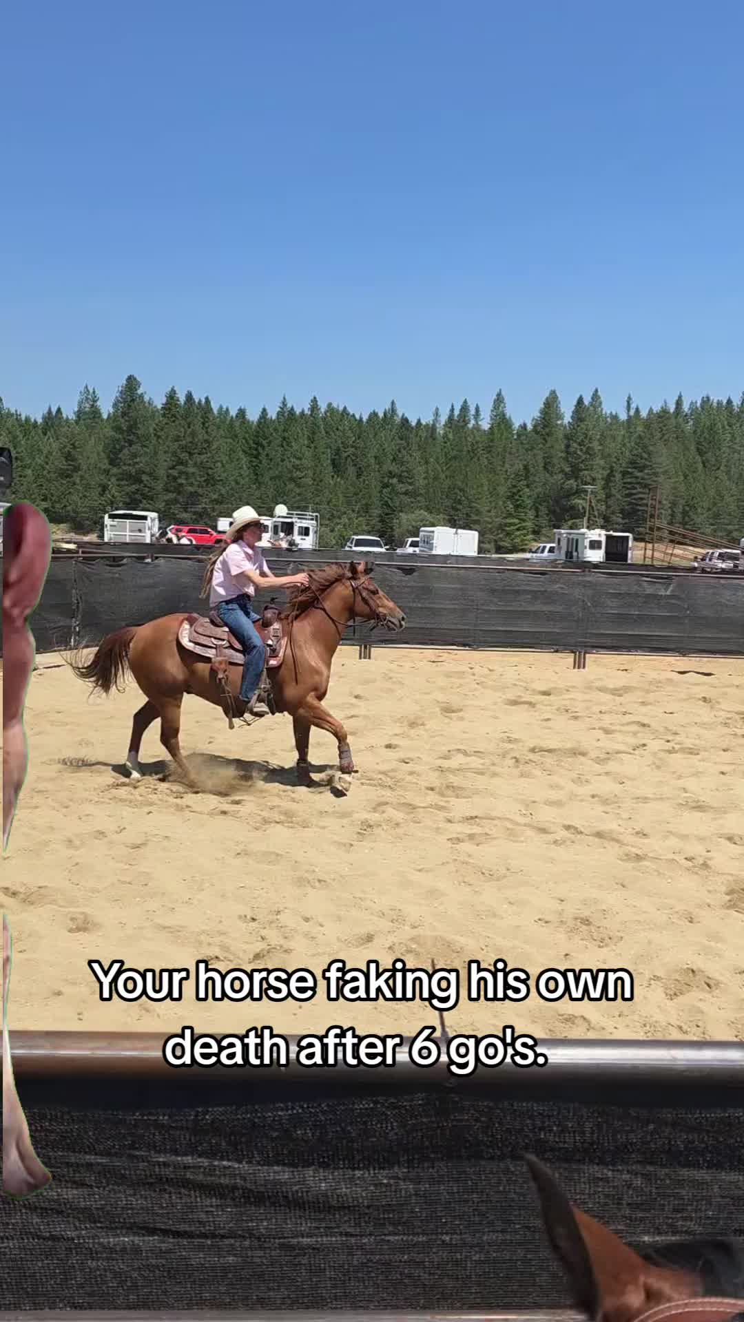 @🐴 ColdMountainRanch 🏇