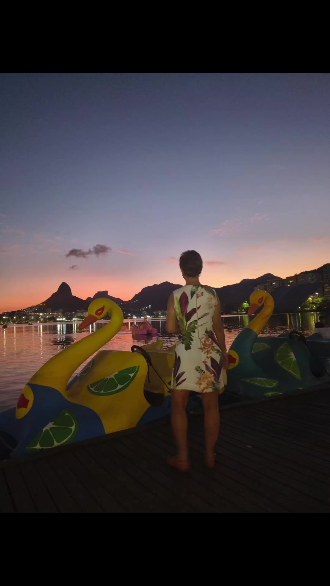 @Conceição Barros