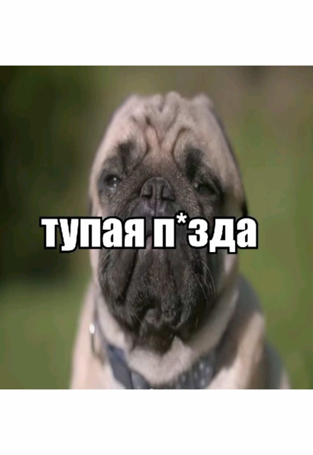 @slafit