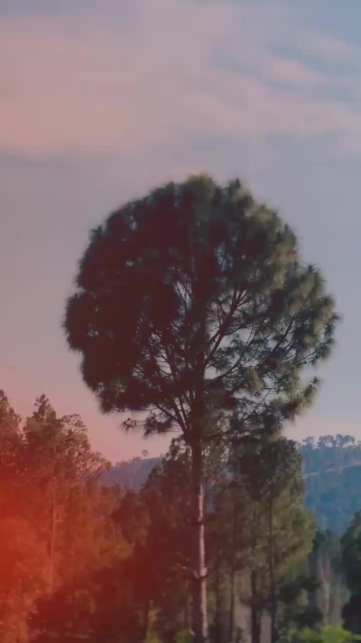 @رضا پٹھان🍁