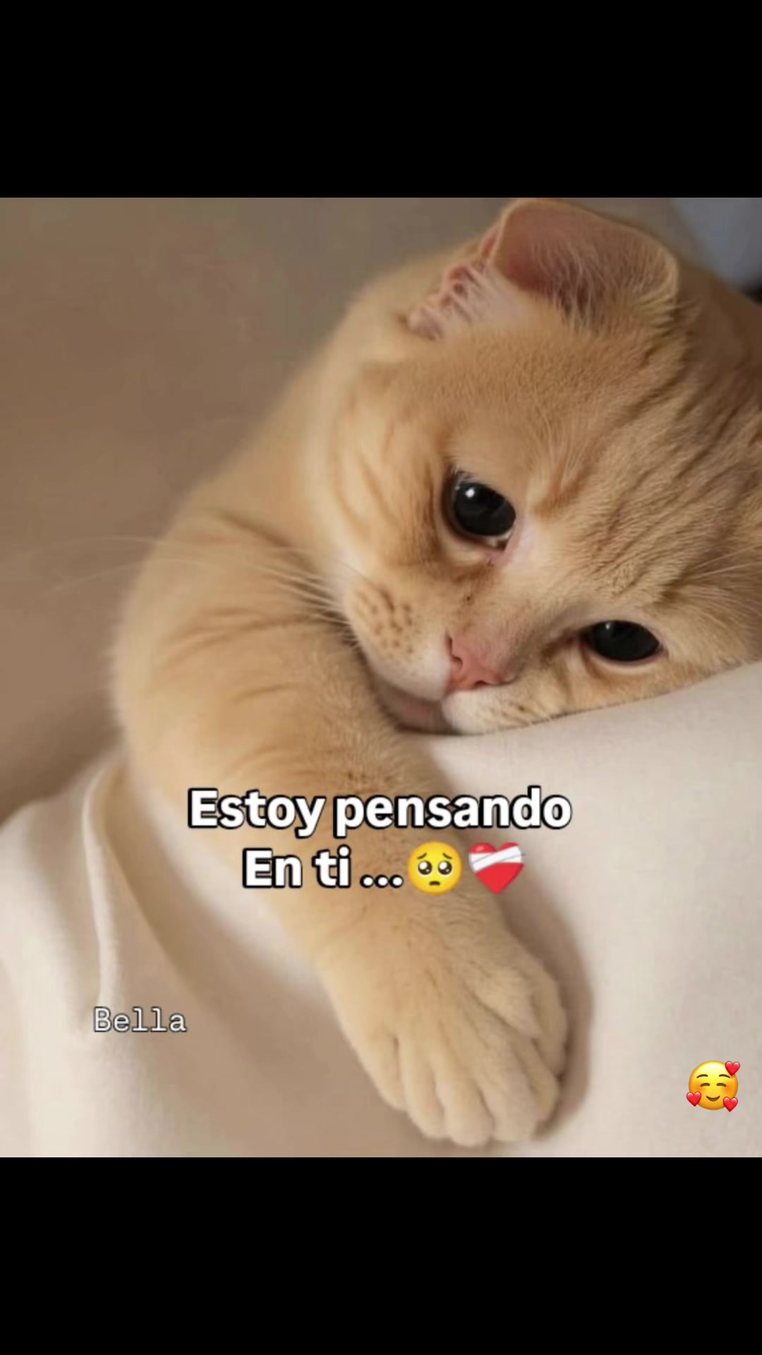 @araceliii343